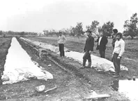 Chile, Economía. Agricultura Hortalizas.