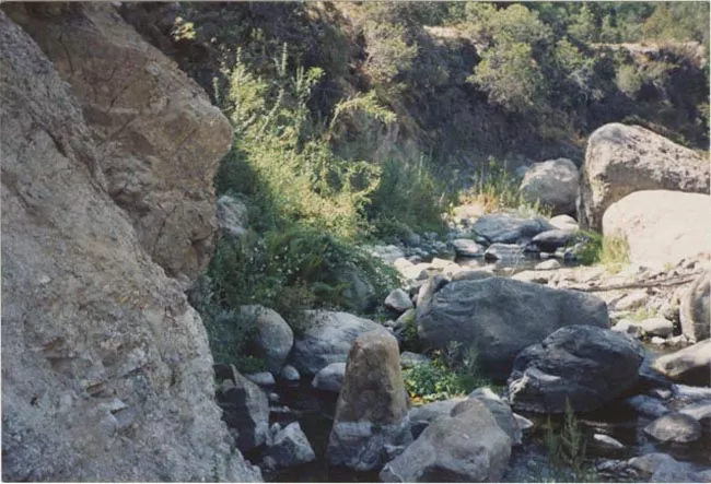 Pedregal