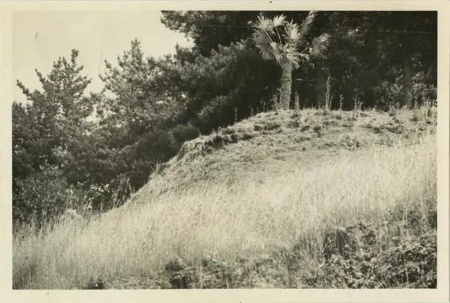 Parte del Talud