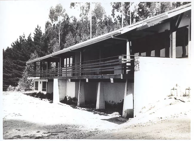 Curanilahue,  Proyecto Museo de la Madera