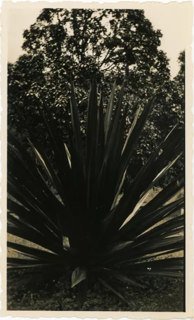Jardín botánico