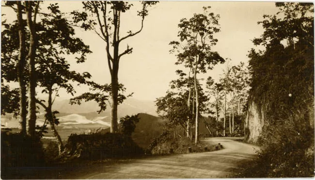 Camino de montaña