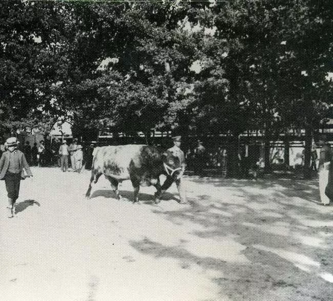 Exposición de Talca