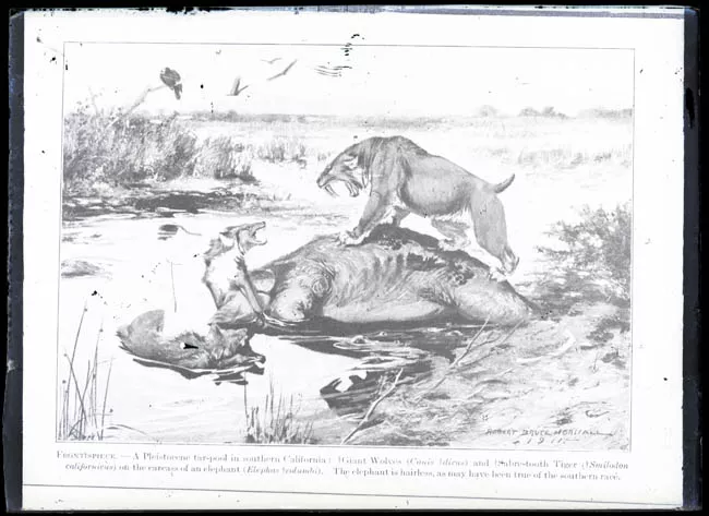 Reproducción de ilustración "A pleistocene tar-pool in southern California" por Robert Bruce Horsfall. 1911