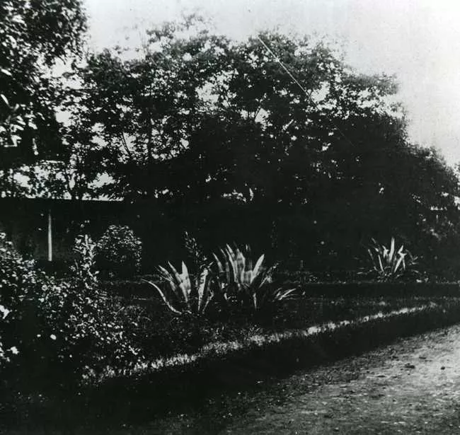Jardín de Casa de Campo