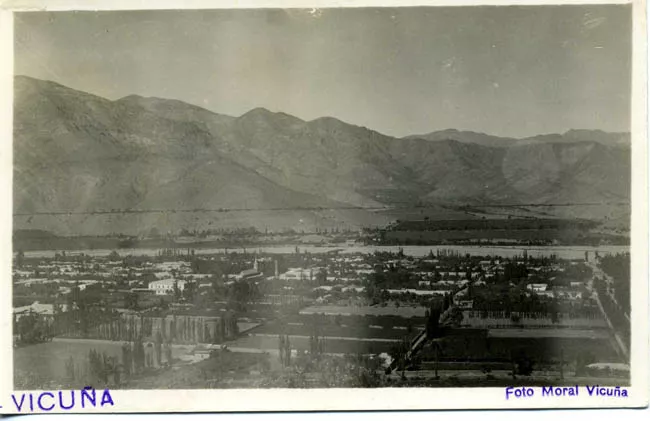 Vista de Vicuña