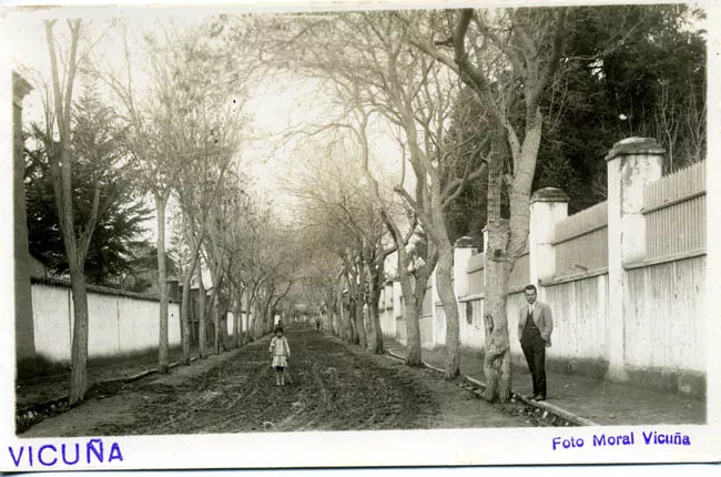 Calle principal de Vicuña