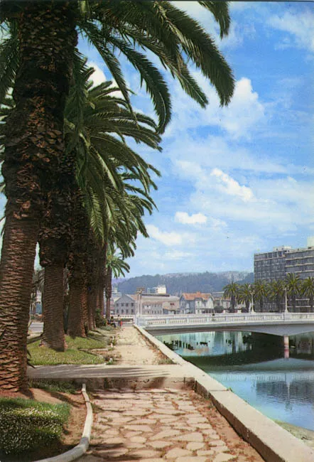 Paseo Avenida Perú en Viña del  Mar