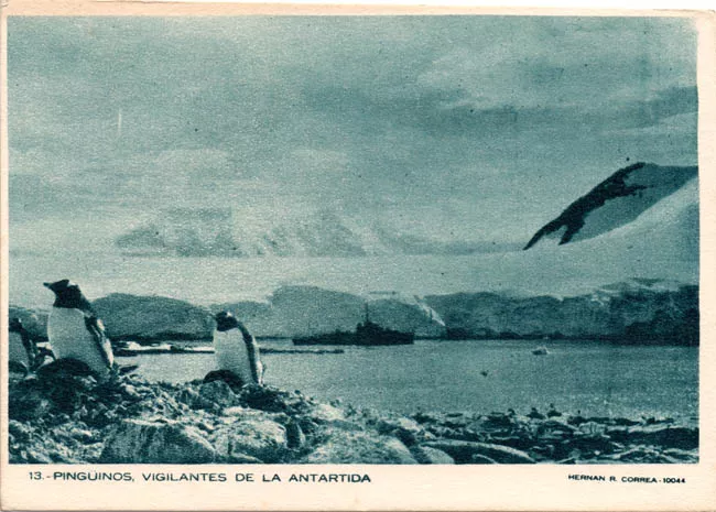 Pingüinos vigilantes de la Antártida