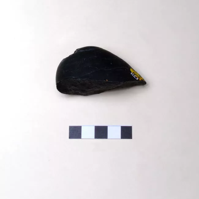 ASOC.CICLISTA DE SAN BERNARDO,CAMPEONATO