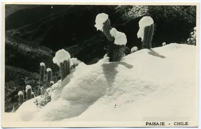 Paisaje nevado sur de Chile
