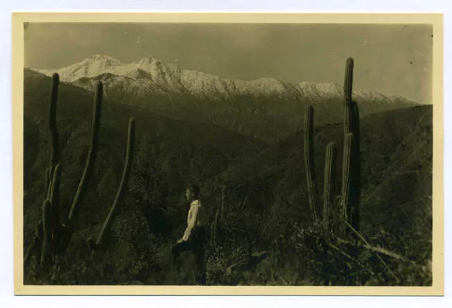 Retrato de Don Kurt Altschwager Scheffers
