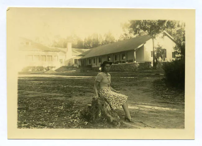 Retrato de Doña Gertrud Altschwager Scheffers