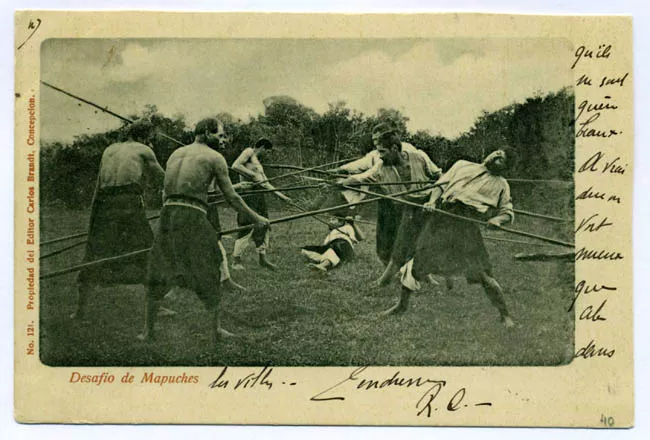 DESAFIO DE MAPUCHES