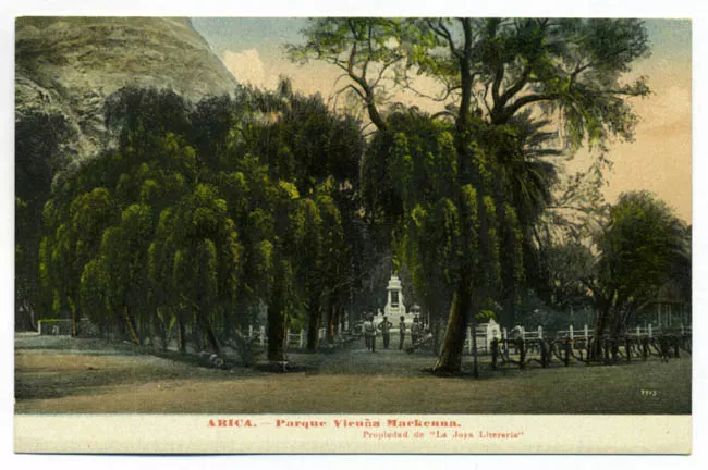 PARQUE VICUñA MACKENNA, ARICA
