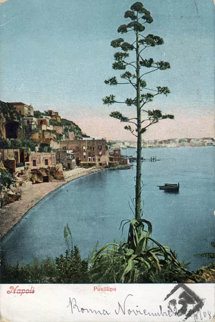 Napoli - Posillipo