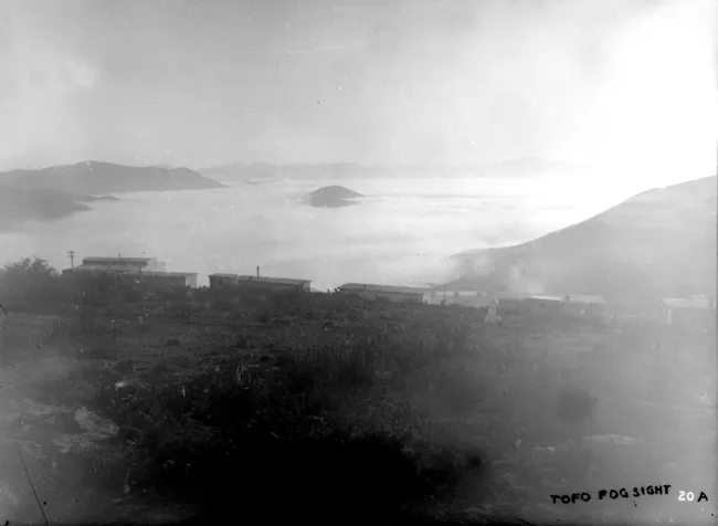 Luz de Niebla en El Tofo