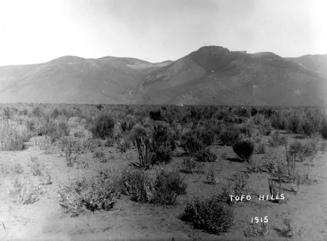 Cerros de El Tofo