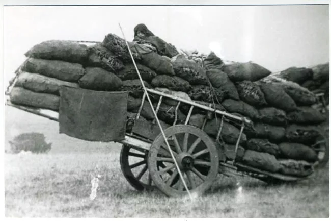 CARRETA