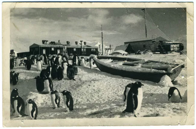 PINGUINOS EN BASE ANTARTICA