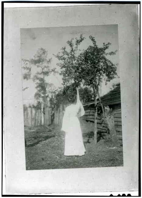 Mujer buscando frutas