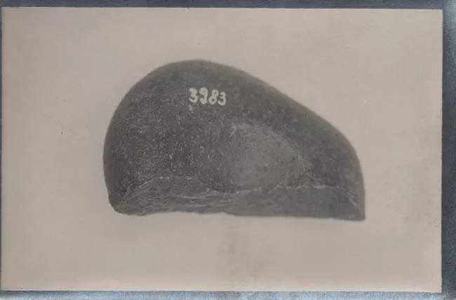 PIEDRA DE CULTURA ALGARROBO