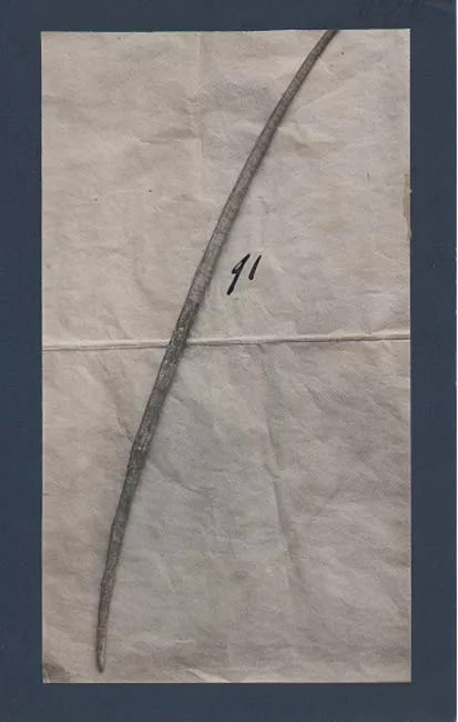 PRODUCTO INDíGENA PARA PUNZAR