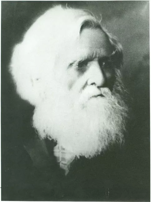 RETRATO DE DON WILHELM RADDATZ