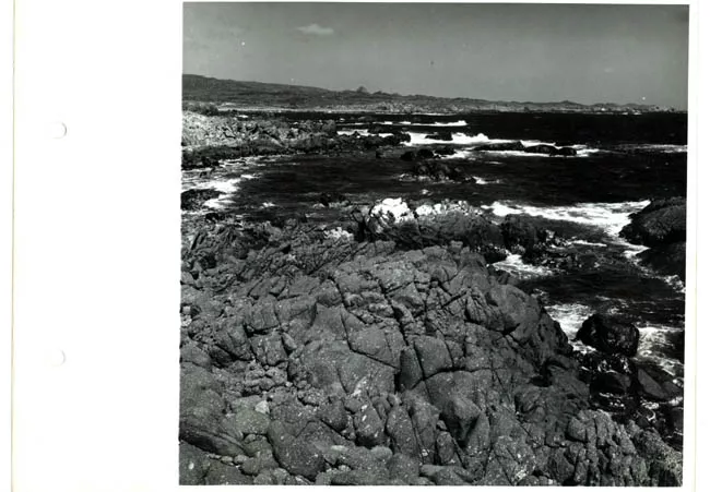 Paisaje costero