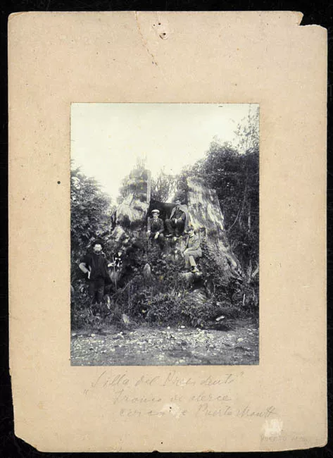 "Silla del Presidente", en las cercanias de Puerto Montt  