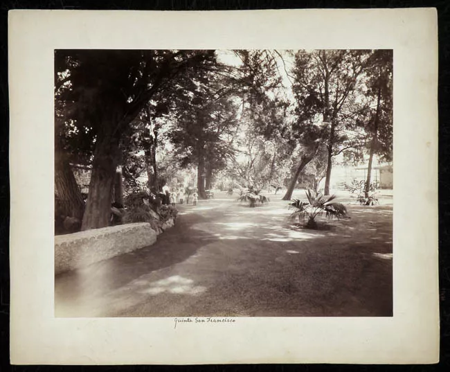 Parque de la Quinta San Francisco 