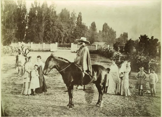 Sr. W. Letelier