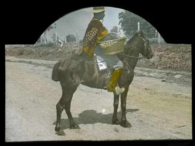 Campesino a caballo con canasto