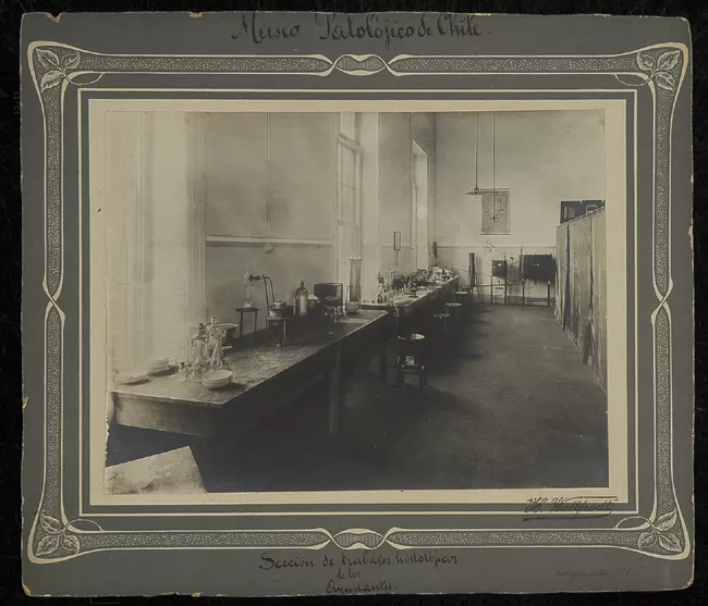 Sala de trabajos histológicos para ayudantes, Museo Patológico de Chile. 