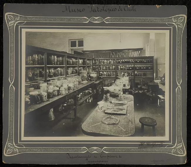 Departamento de confección de preparaciones, Museo Patológico de Chile. 