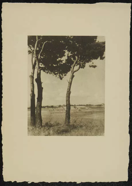 Paisaje natural 