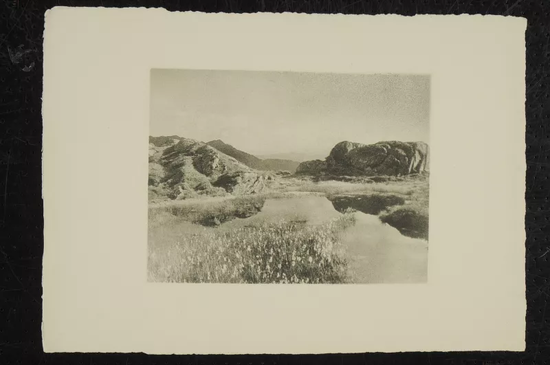 Paisaje cordillerano 