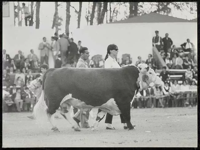 Feria Ganadera
