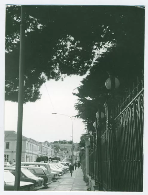 PUNTA ARENAS,CALLE