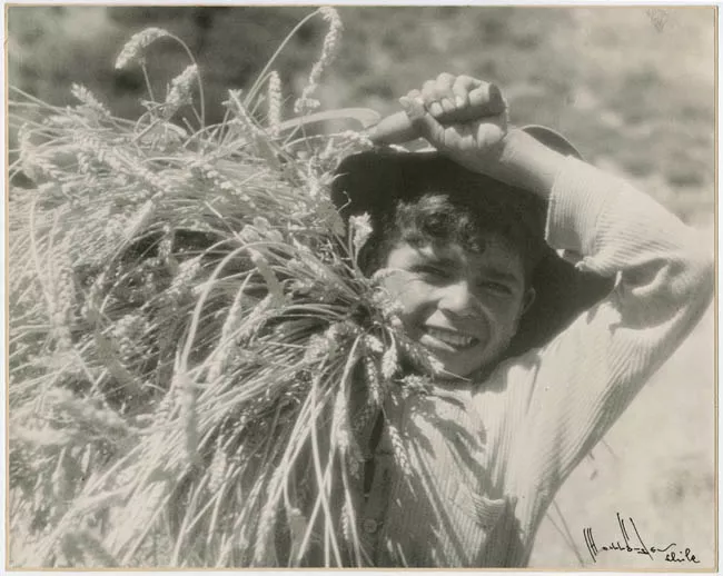 Retrato de niño campesino, espigador