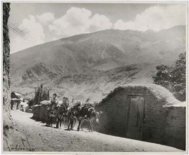 Calle de un pueblo del Valle del Elqui con burros