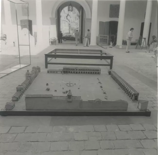 M.H.N.RESTAURACION Y MONTAJE