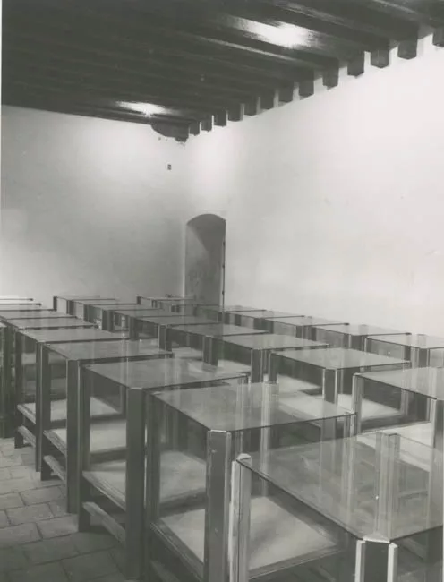 M.H.N.RESTAURACION Y MONTAJE