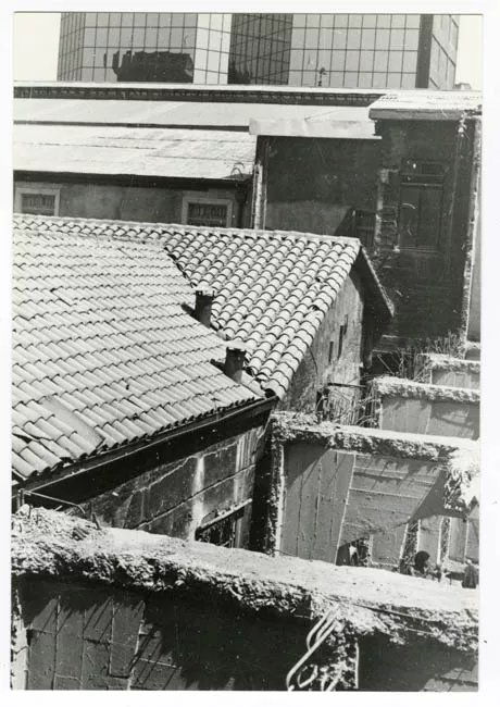 M.H.N.DEMOLICION EX CORREO