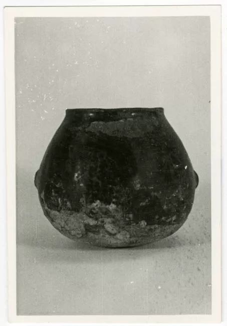 1 CANTARO INDIGENA