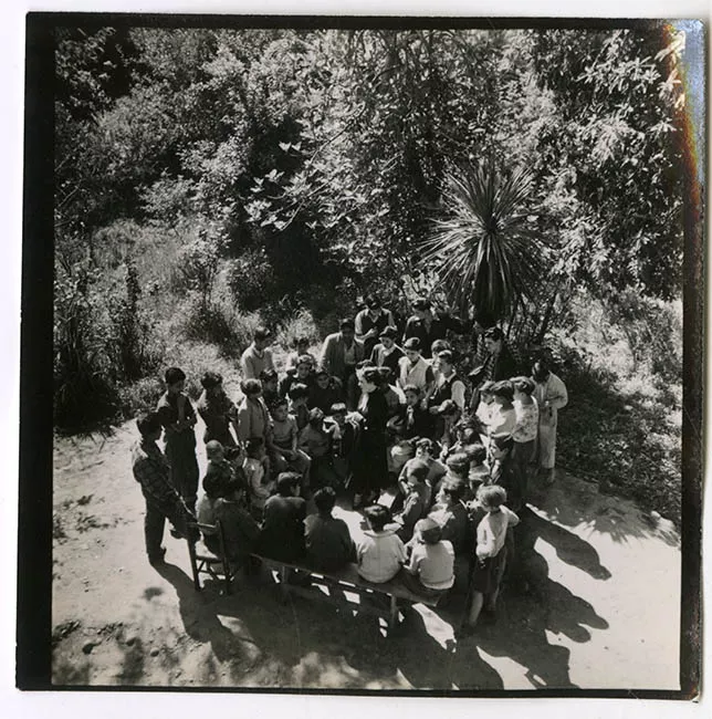 Niños