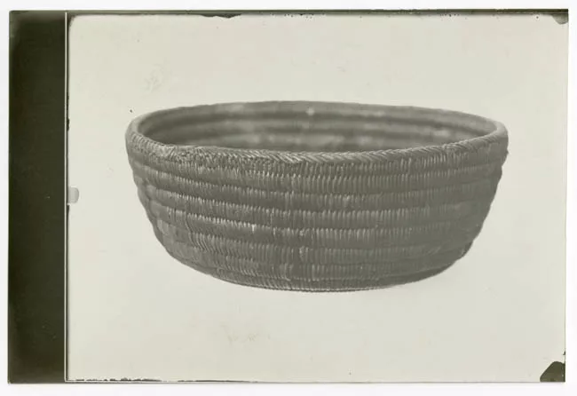 1 PLATOINDIGENA