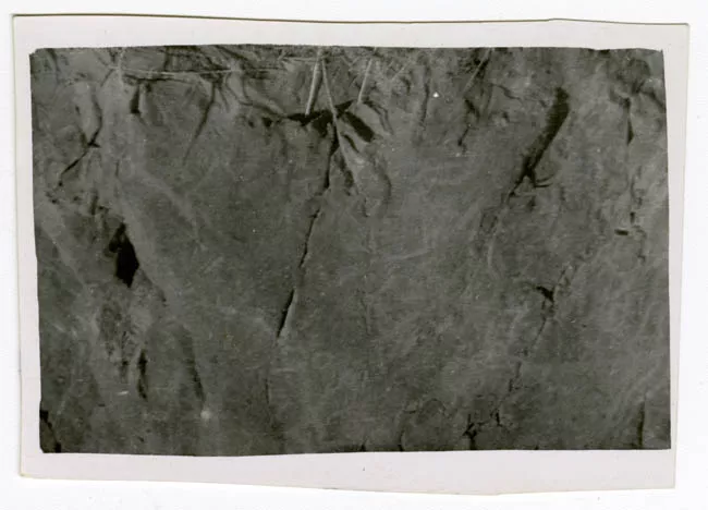 1 RESTOS ARQUEOLOGICOS
