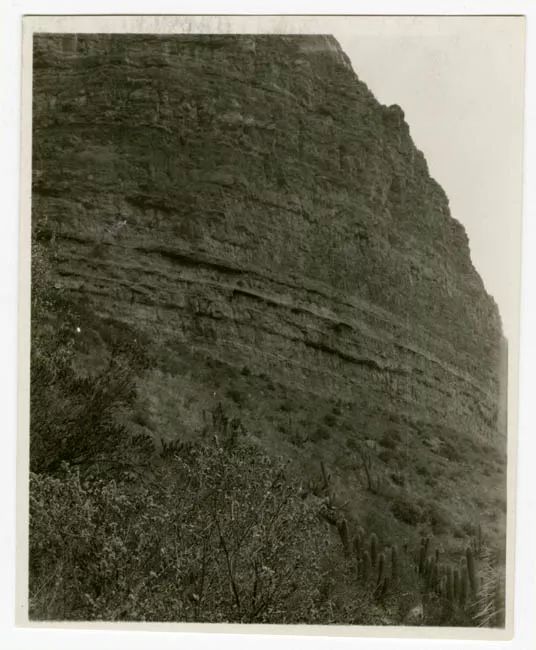 1 ESTRATO ARQUEOLOGICO