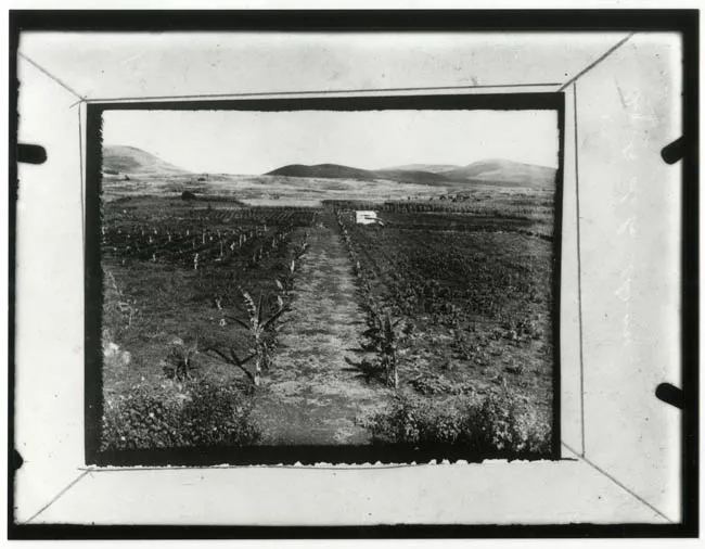 Quinta de la misión del P. de Stella. Isla de Pascua.